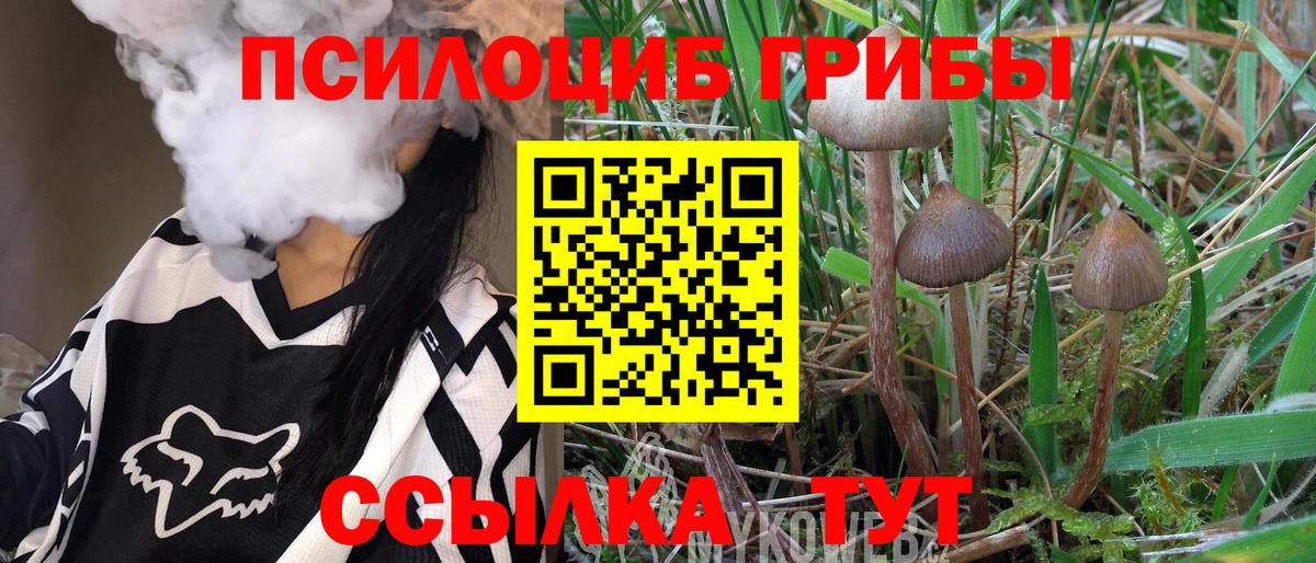 Псилоцибиновые грибы прущие грибы Чернушка