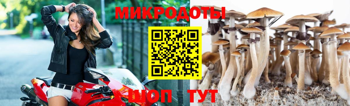Псилоцибиновые грибы мицелий  Псилоцибиновые грибы Cubensis  Вход с VPN  Чернушка 